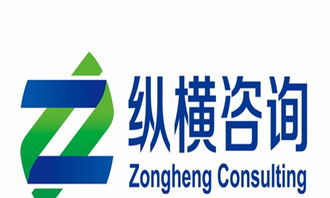 東營市縱橫企業(yè)管理咨詢 公司注冊 代理記帳
